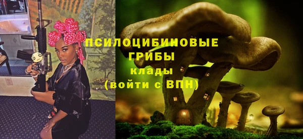 трава Балахна