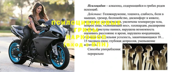 трава Балахна